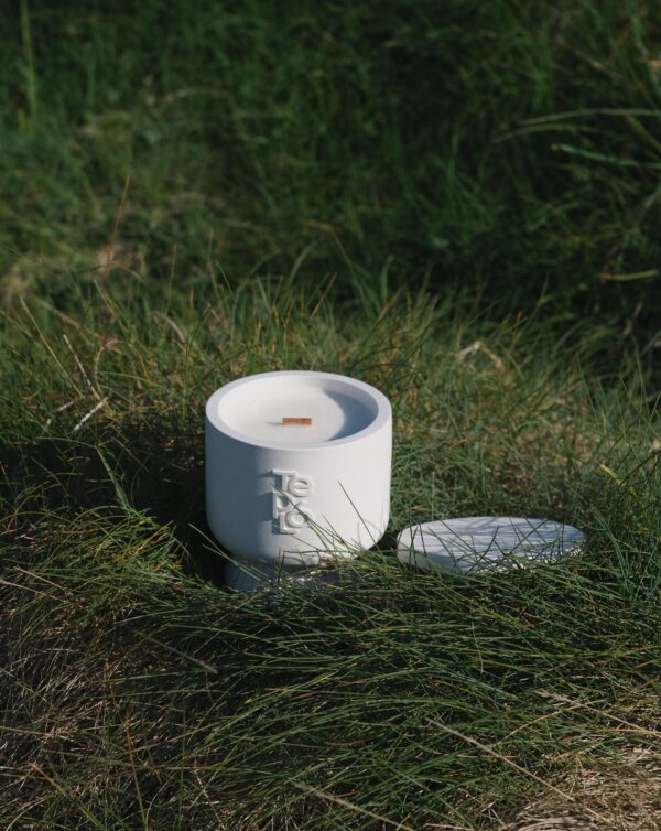 WILD FIG & VETIVER - Image 5