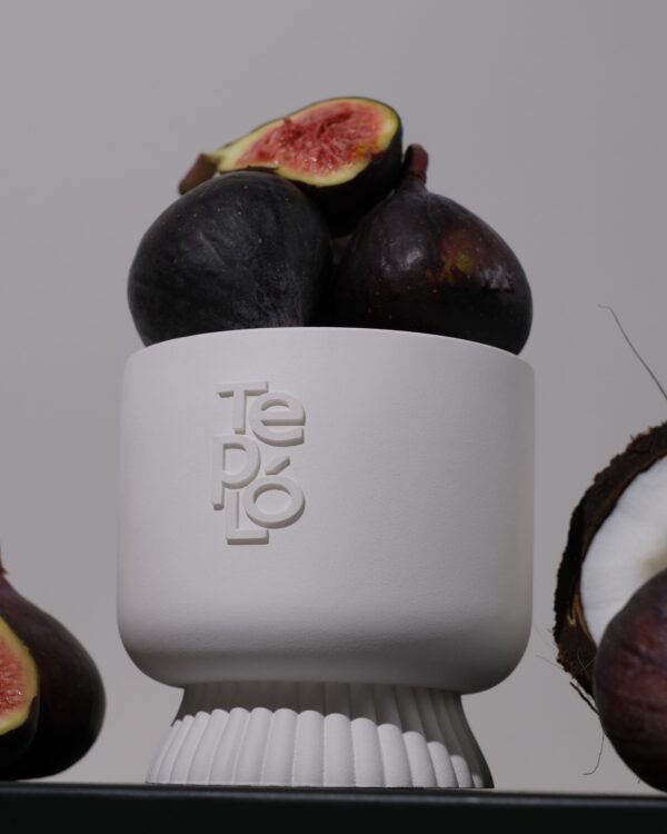 WILD FIG & VETIVER - Image 3