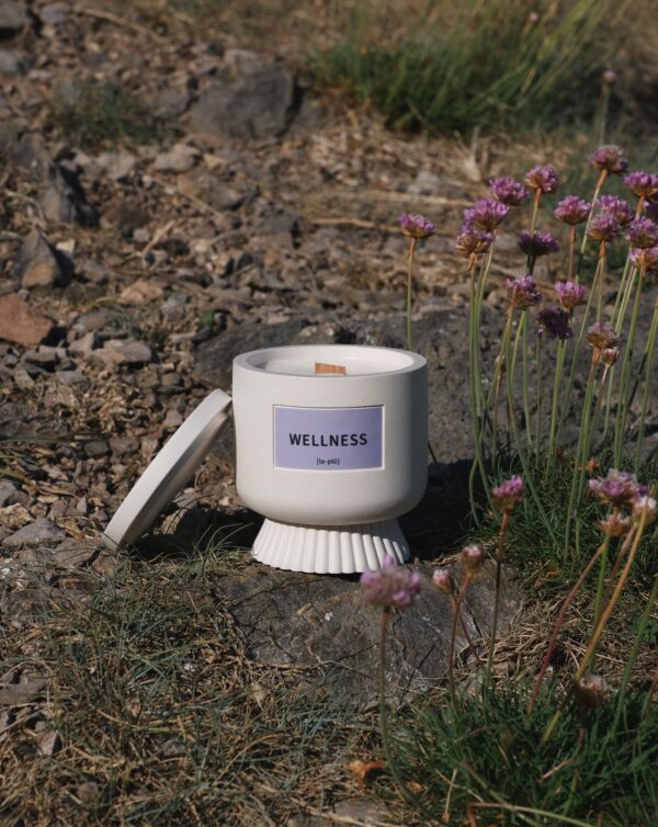 WELLNESS  - Image 8