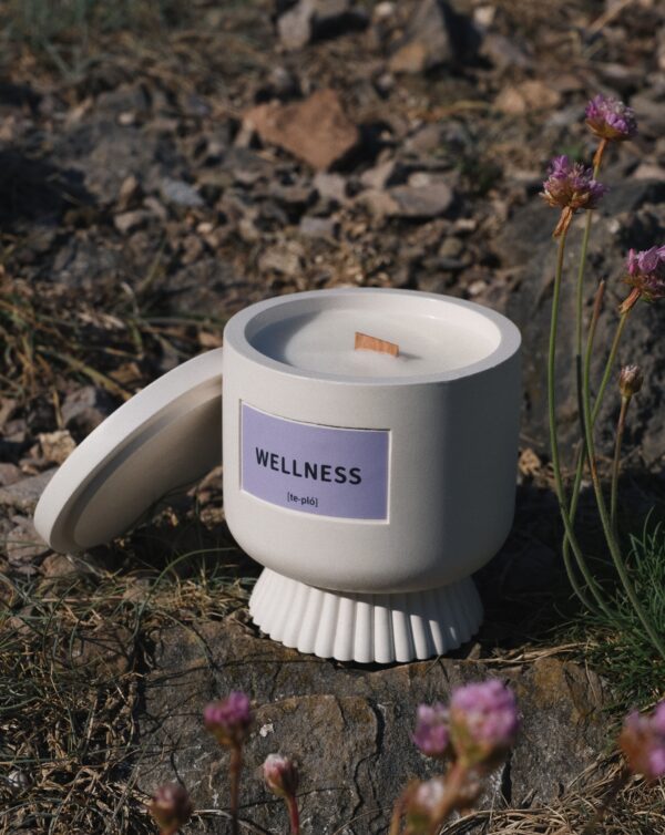 WELLNESS  - Image 7