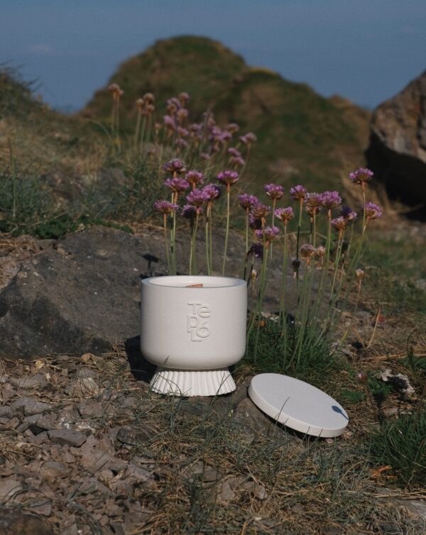 WELLNESS  - Image 6