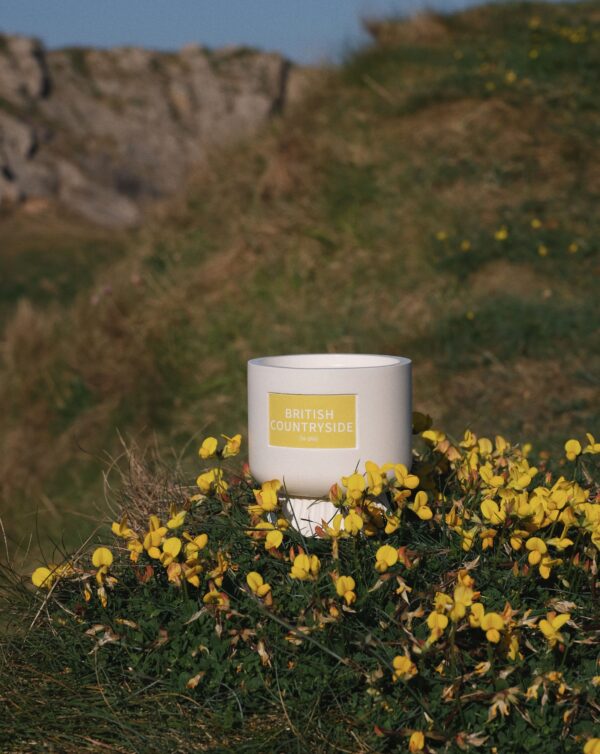 BRITISH COUNTRYSIDE - Image 4