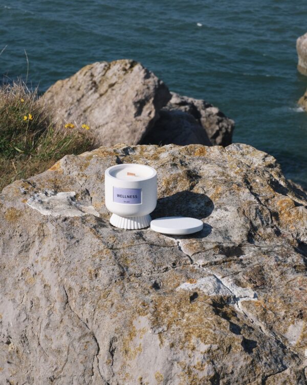 WELLNESS  - Image 4